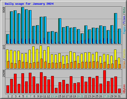 Daily usage for January 2024