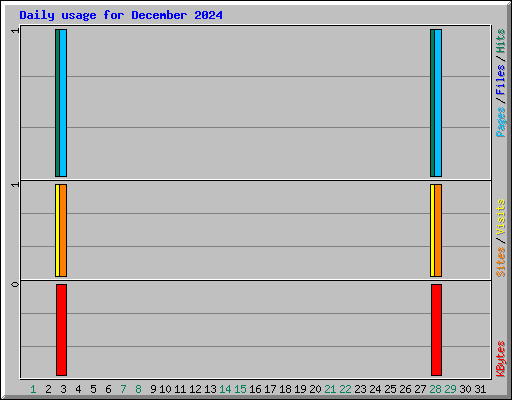 Daily usage for December 2024
