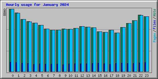 Hourly usage for January 2024