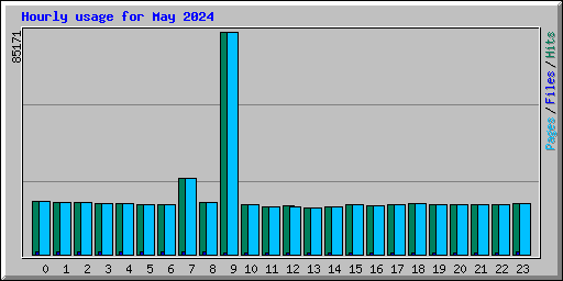 Hourly usage for May 2024