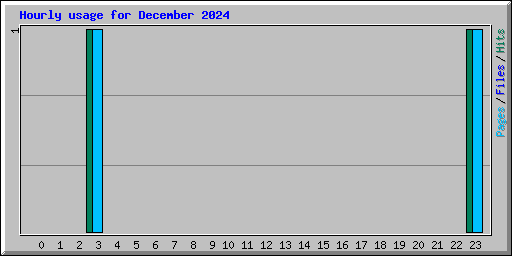 Hourly usage for December 2024