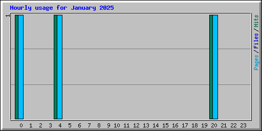 Hourly usage for January 2025