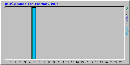 Hourly usage for February 2025